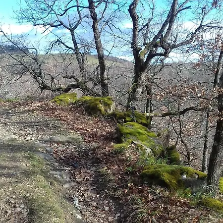 Sur Les Rives Du Allier Ferienhaus Blassac