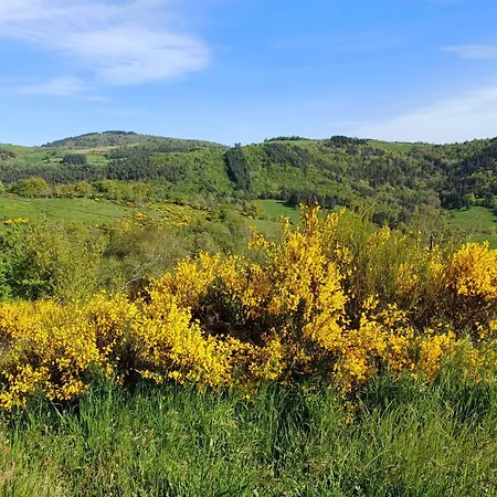 Holiday home Sur Les Rives Du Allier Blassac