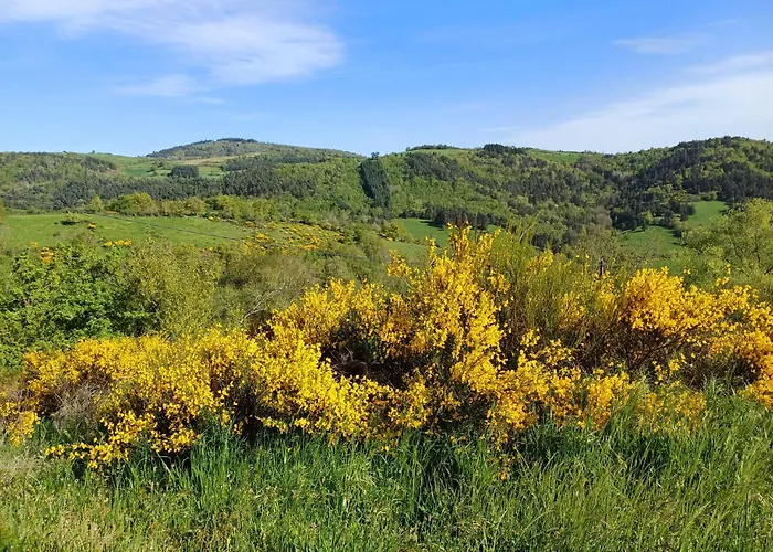 Holiday home Sur Les Rives Du Allier Blassac